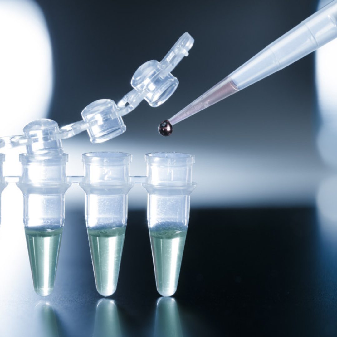 Micronutrient testing report