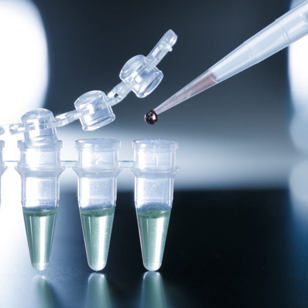 Micronutrient testing report